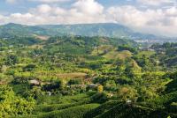 Colombia Earthquake Disrupts Air Travel