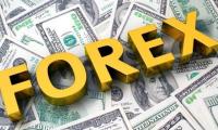 Bangladesh's gross forex reserves rise to $36.96bn