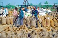 El Niño Threatens the World’s
Rice Bowl: Global Output Could Fall by 9 Million Tonnes
