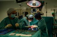 Heart Transplant Rejection Study Maps Molecular Divide Biopsy Grading Cannot See