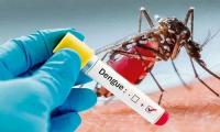 Health officials report 726 fresh cases of dengue inflection overnight