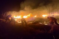 Indonesia battles wildfires across archipelago