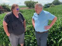 Northwestern Illinois crops exceeding expectations