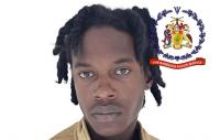 Youth charged with possession of gun and ammo