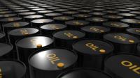 Economics Professor: Value Addition Possible with Oil, Other Minerals Remain a Challenge