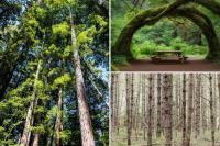 Tucked-away California park ranked among the best-kept secrets in US (and it’s not crawling with tourists)