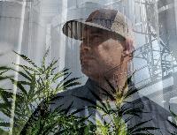 Minnesota Cannabis Businesses Grapple With Growing Pains