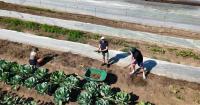 Ivey students give back to community organizations