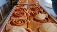 What to know about new food options at the Illinois State Fair | Video
