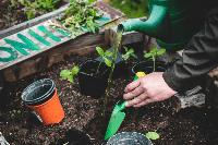 What Is a Climate Diet?
