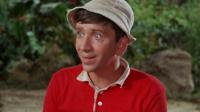 Watch This TV Show If You Miss Gilligan's Island