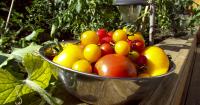 Idaho health expert offers tips avoid foodborne illness