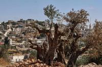 West Bank Christians feel ‘forgotten’ over settler violence