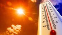 Western Europe records hottest June-July period on record