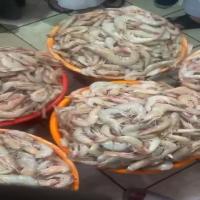 Despite 826 Tons of Seafood Entering Kuwait Markets, Prices Remain High