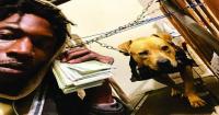 Georgia dogfighting promoter used $170,000 in fraudulent pandemic aid, feds say