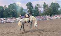 For former Park City Mayor Dana Williams, it’s not his first rodeo