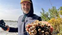 Nurdle pollution in Texas waters remains a problem