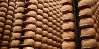 Italy’s $4.7 billion cheese economy is feeling the heat as climate change threatens its cheese banks that hold Parmigiano wheels as loan collateral