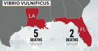 Health Alert: Vibrio vulnificus kills 7 people, Taylor Farms recalls jalapeño products