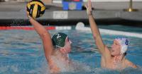 Crown City Water Polo Enjoys Strong Showing At Hawaiian Invitational