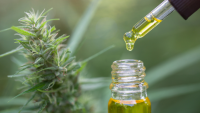 Clinical Trial: Plant-Derived Cannabis Preparation Is Safe and Effective in Children With Autism