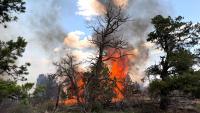 New Mexico Issues Smoke Advisory as Wildfires Continue Burning Across State