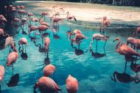 Restoring Europe’s wetlands to combat climate change and boost economies