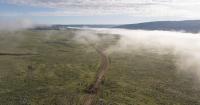 Forest Service’s OK to graze cattle along grizzly-filled Wyoming area sparks incoming lawsuit