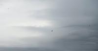 Coldest Augusts in North Dakota since 1895