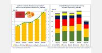 Morocco’s mandarin exports to Ireland rise 30%