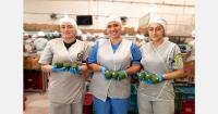 Weather weighs on Colombia’s Hass avocado off-season, while main harvest is expected to bring higher volumes
