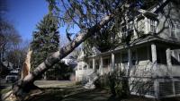 The $8.8 Million-a-Day Delay: The Hidden Financial Toll on Homeowners Waiting for Insurance Claim Checks