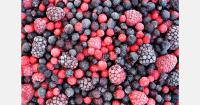 Czech company explores frozen fruit imports from Uzbekistan