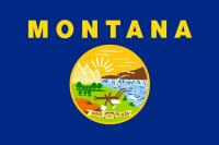 Why fintech founders look at Montana MSB structures for cross-border payment projects