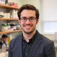 Boston College Chemist Alexis Grimaud Wins NSF CAREER Award