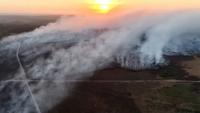 Firefighters set to work into the night tackling ‘devastating’ New Forest blaze as 120 emergency workers battle inferno