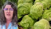 Maine woman says she was sick for all of July after being exposed to Cyclospora