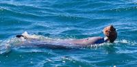Dolphins learn how to use tools to hunt for fish from their mothers