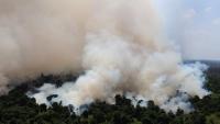Celios: Indonesia's Wildfire Losses Could Reach Rp123.1 Trillion