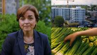 What Quebec parties’ pre-campaign ads suggest ahead of the election