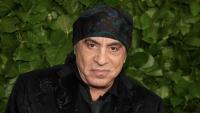 Sopranos star Steven Van Zandt has written a TV show about three brothers - a rock star, a gangster and a FBI agent - and he wants Johnny Depp to take a starring role