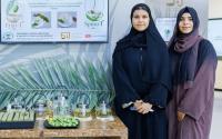 UAE unveils world’s first tea made from palm shoots and green dates
