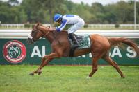 Fakhira impresses again in Gr1. PA Liwa International Stakes in France