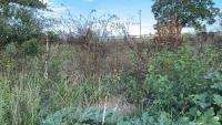 Power company kills homesteader's cherry trees and berry bushes with no warning