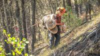 Fast-moving wildfire sends more than 20,000 fleeing in British Columbia, Canada