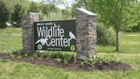 New Jersey wildlife center turns entire building into refuge for 190 abandoned box turtles