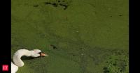 In 190 years, England witnesses ​driest month, now Britain usually known for its unpredictable wet weather faces third drought in five years