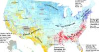 How a Nation of Immigrants Traces Its Roots