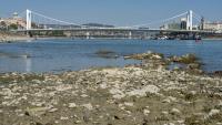 Historic Drought Leaves Europe’s Busiest Cruise Rivers Too Shallow to Sail